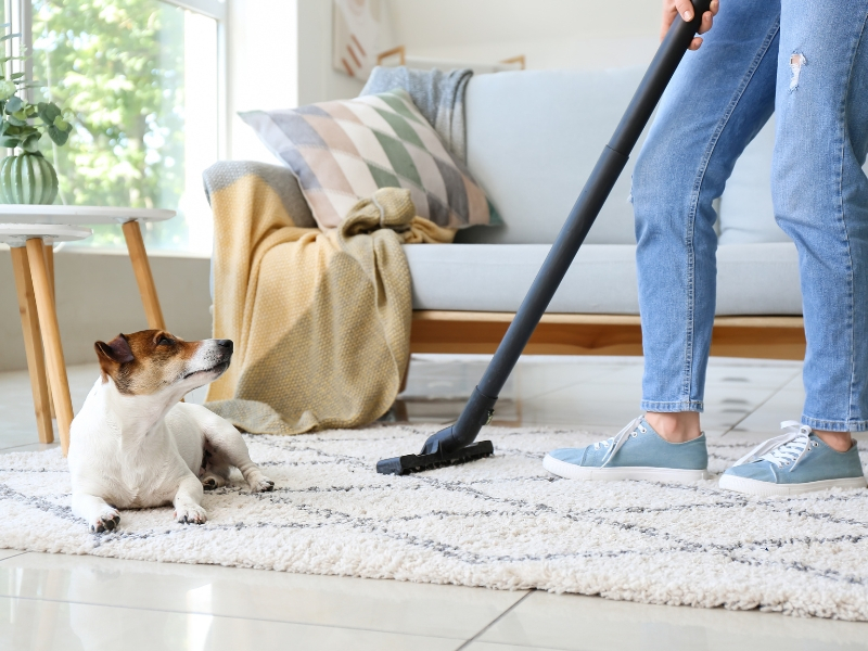Best Carpet Cleaning Method: The Different Types of Carpet Cleaning Methods –