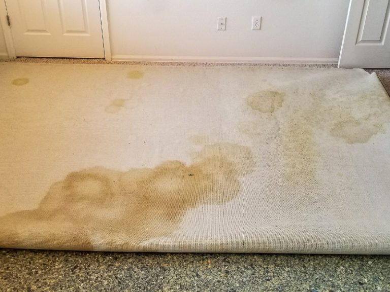 How to Get Old Stains Out of Carpet: 5 Easy Methods