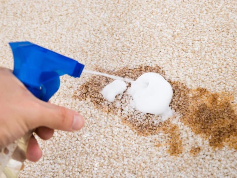 How to Get Oil Out of Carpet: The Ultimate Guide –