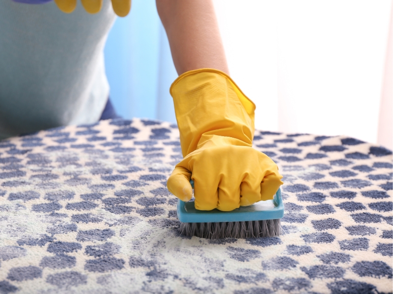 How to Clean Diarrhea Out of Carpet: The Tools You’ll Need –