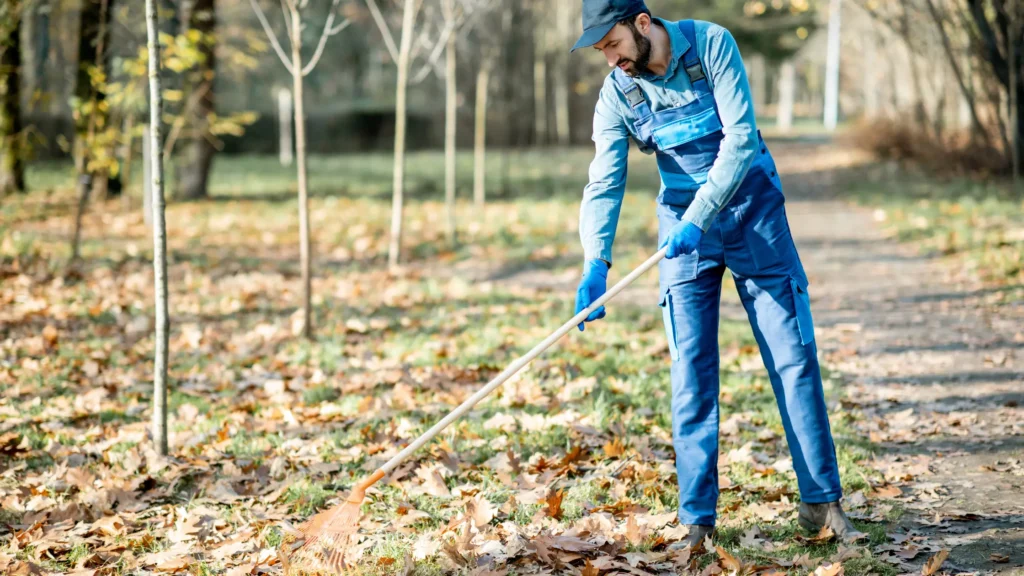 Understanding Lawn Sweepers and Vacuums